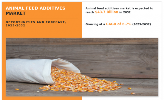 Animal Feed Additives Market - IMG1