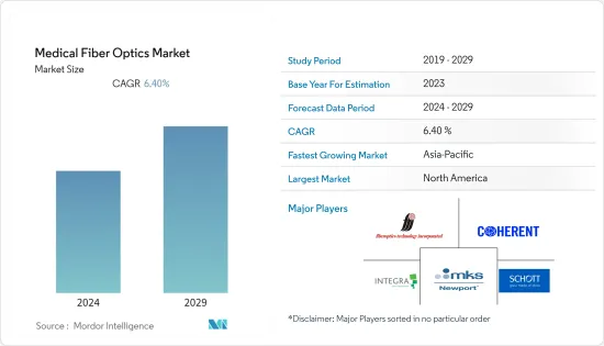Medical Fiber Optics - Market - IMG1