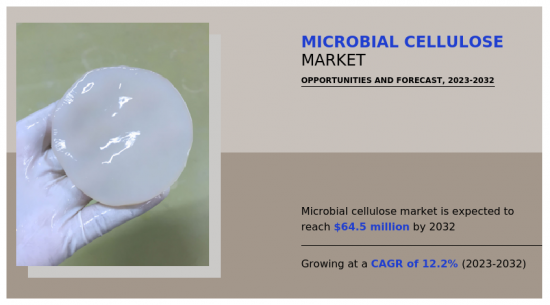 Microbial cellulose Market - IMG1