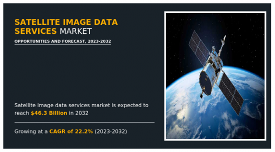 Satellite Image Data Services Market - IMG1