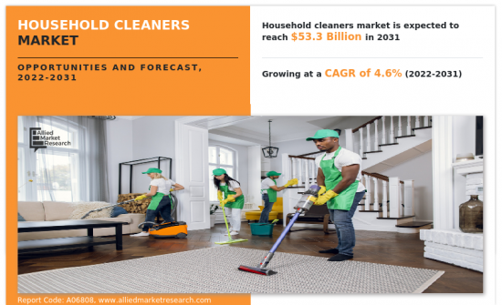 Household Cleaners Market - IMG1