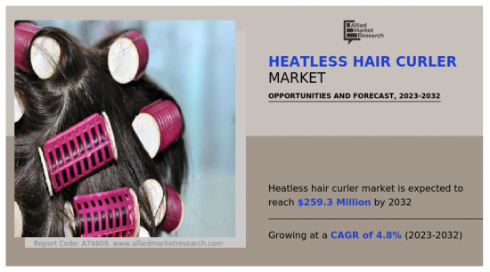 Heatless Hair Curler Market - IMG1