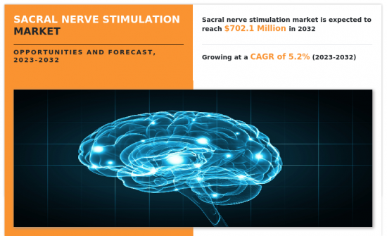 Sacral Nerve Stimulation Market - IMG1