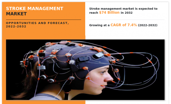 Stroke Management Market - IMG1