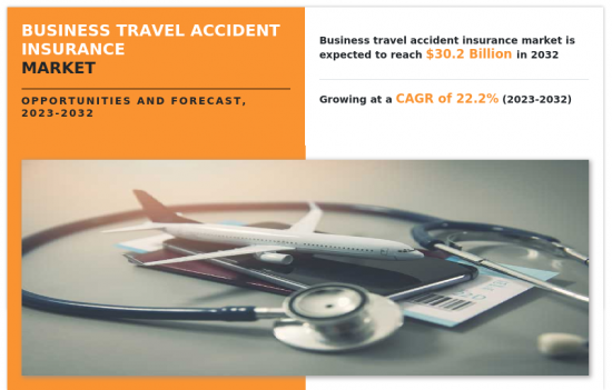Business Travel Accident Insurance Market - IMG1