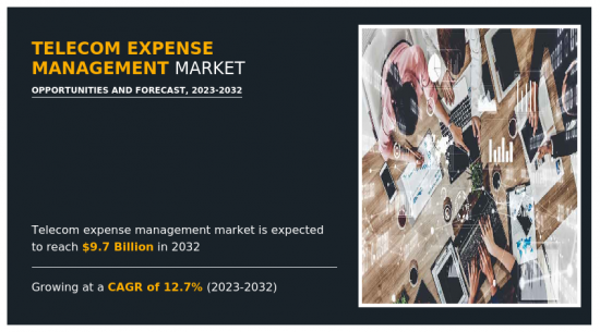 Telecom Expense Management Market - IMG1