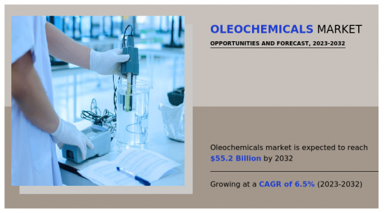Oleochemicals Market - IMG1