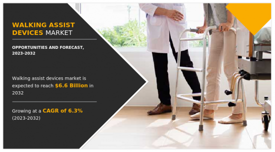 Walking Assist Devices Market - IMG1