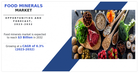 Food Minerals Market - IMG1