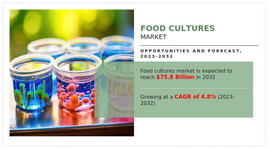 Food Cultures Market - IMG1