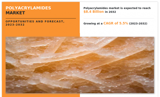 Polyacrylamides Market - IMG1