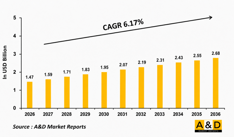 Global 81mm Market - IMG1