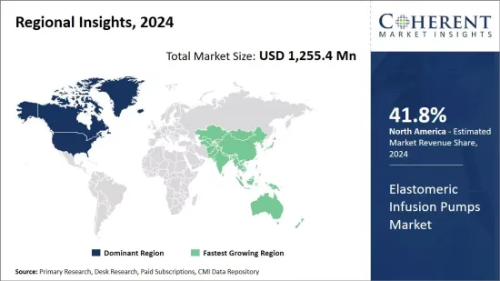 Elastomeric Infusion Pumps Market - IMG1