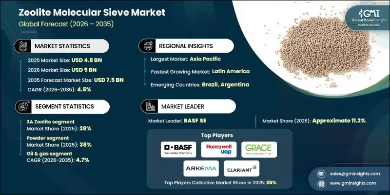 Zeolite Molecular Sieve Market - IMG1