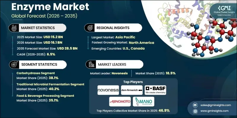 Enzyme Market - IMG1
