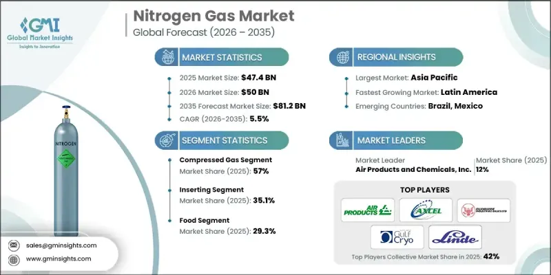 Nitrogen Gas Market - IMG1