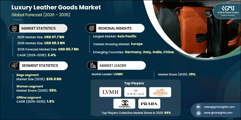 Luxury Leather Goods Market - IMG1