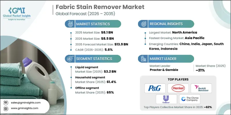 Fabric Stain Remover Market - IMG1