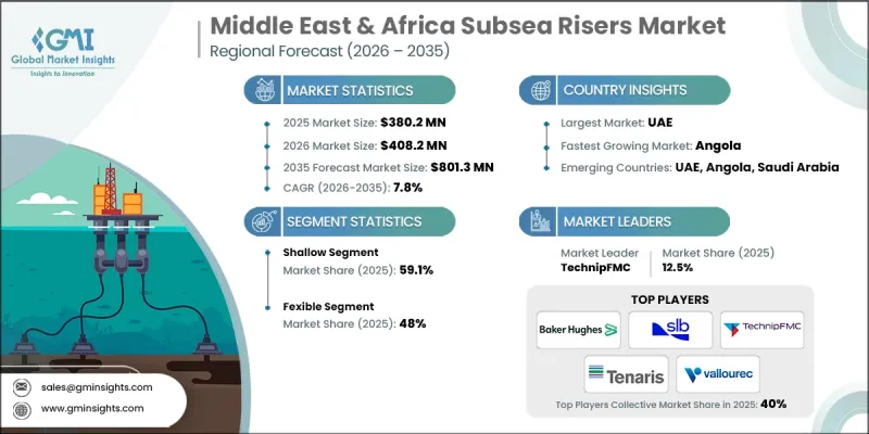 Middle East and Africa Subsea Risers Market - IMG1