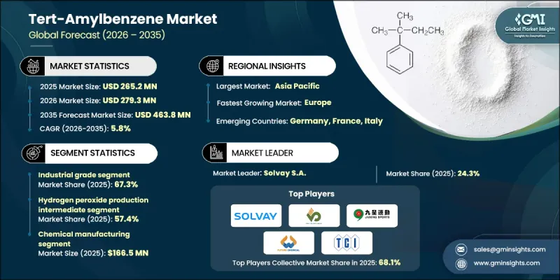 Tert-Amylbenzene Market - IMG1