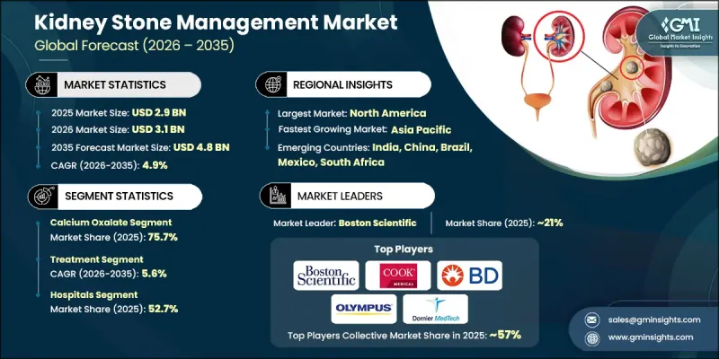 Kidney Stone Management Market - IMG1