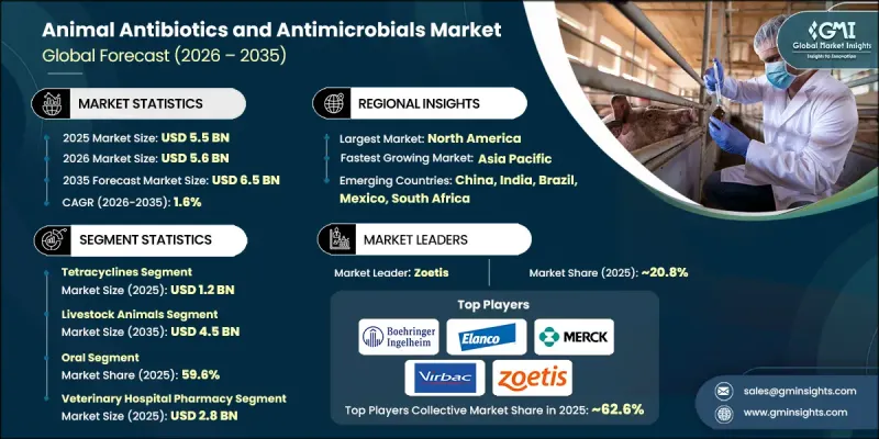 Animal Antibiotics and Antimicrobials Market - IMG1