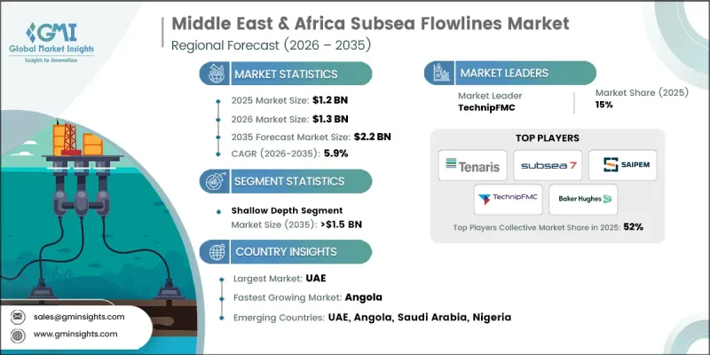Middle East and Africa Subsea Flowlines Market - IMG1
