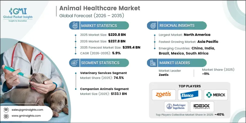 Animal Healthcare Market - IMG1