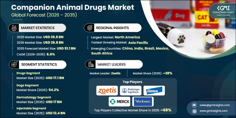 Companion Animal Drugs Market - IMG1