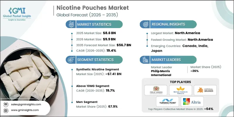 Nicotine Pouches Market - IMG1