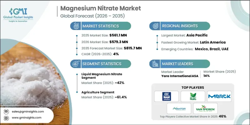 Magnesium Nitrate Market - IMG1