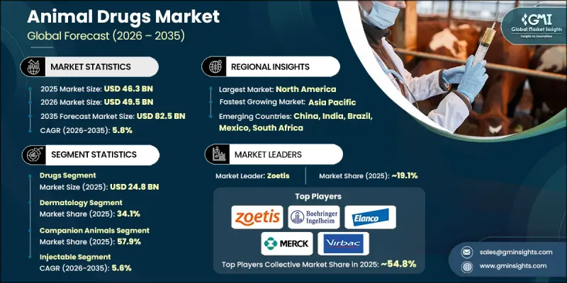 Animal Drugs Market - IMG1