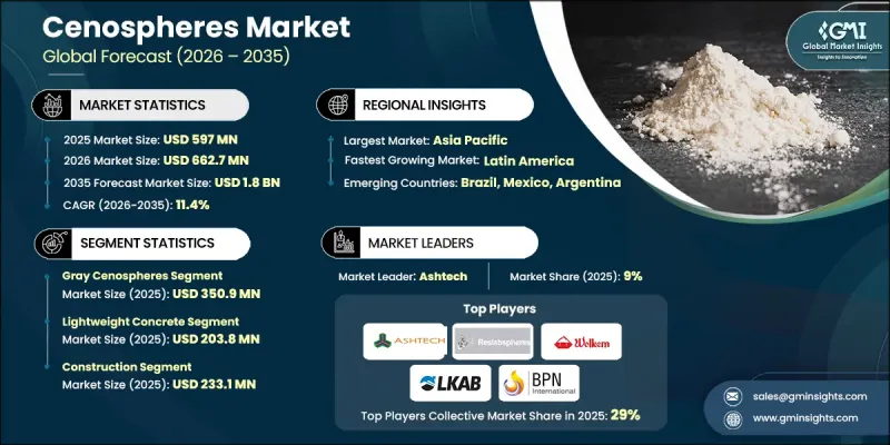 Cenospheres Market - IMG1