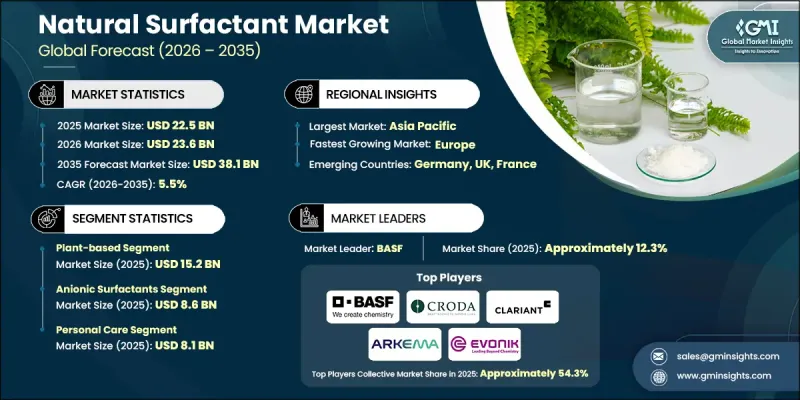 Natural Surfactant Market - IMG1