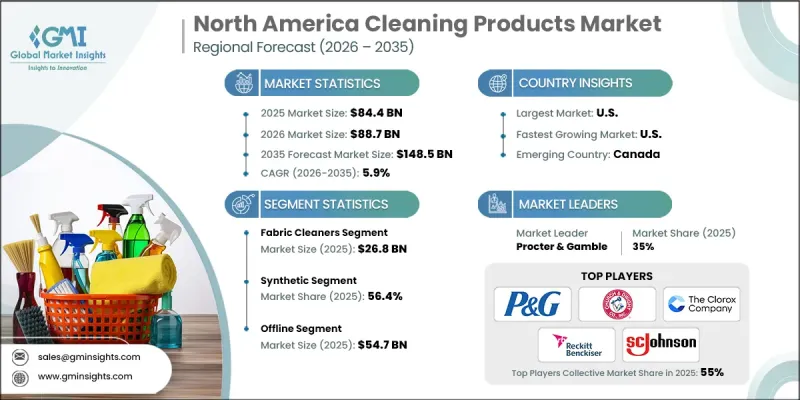 North America Cleaning Products Market - IMG1