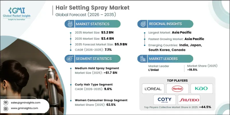 Hair Setting Spray Market - IMG1