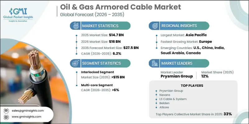 Oil and Gas Armored Cable Market - IMG1