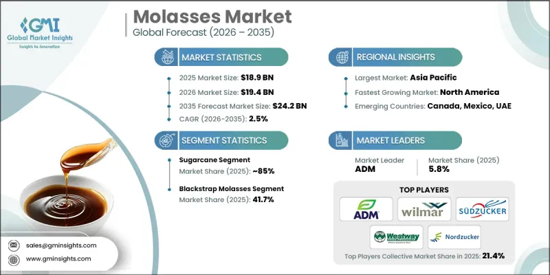Molasses Market - IMG1