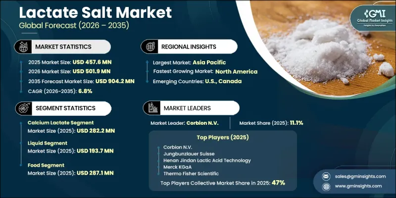 Lactate Salt Market - IMG1