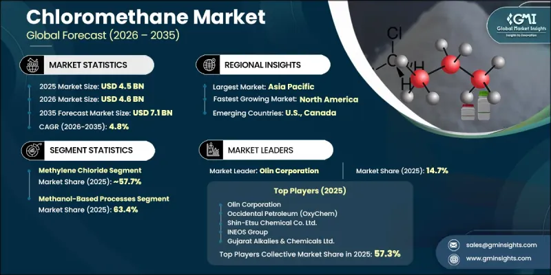 Chloromethane Market - IMG1