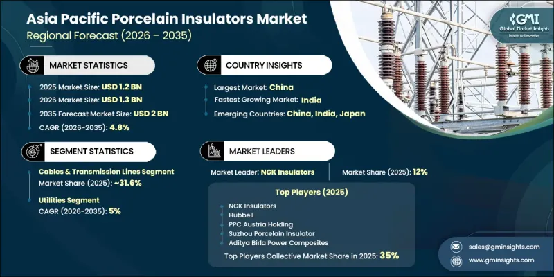 Asia Pacific Porcelain Insulators Market - IMG1