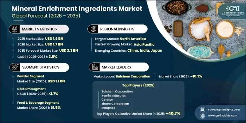 Mineral Enrichment Ingredients Market - IMG1
