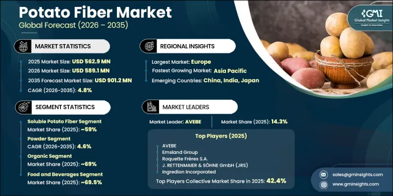 Potato Fiber Market - IMG1