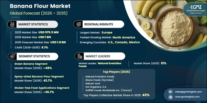 Banana Flour Market - IMG1