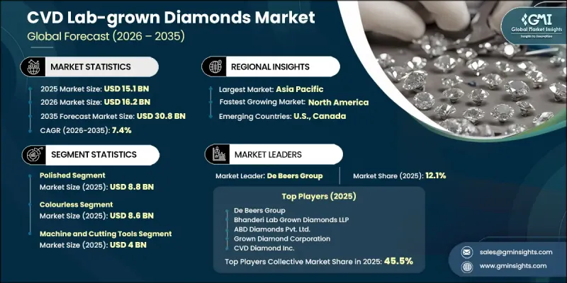 CVD Lab-grown Diamonds Market - IMG1