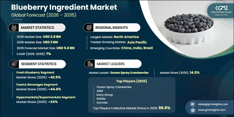 Blueberry Ingredient Market - IMG1