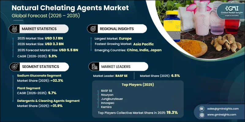 Natural Chelating Agents Market - IMG1