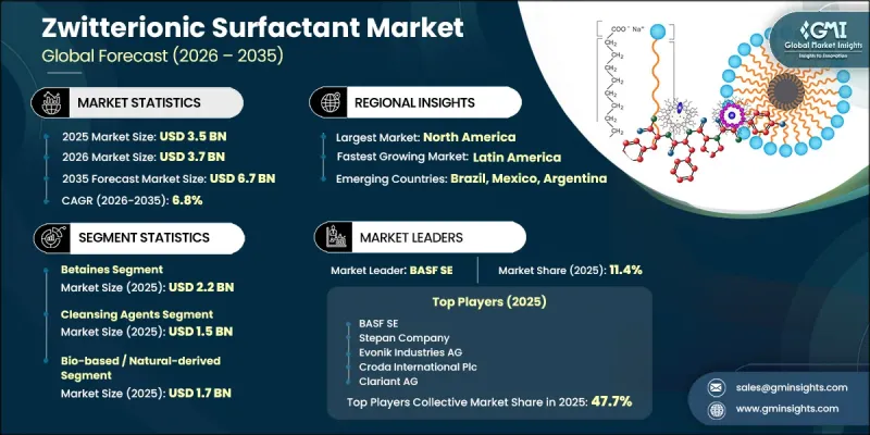 Zwitterionic Surfactant Market - IMG1