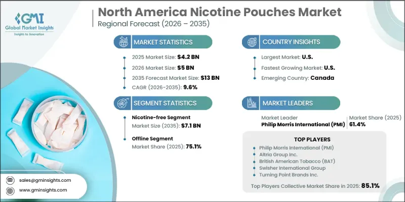 North America Nicotine Pouches Market - IMG1