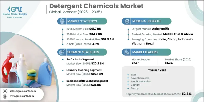 Detergent Chemicals Market - IMG1